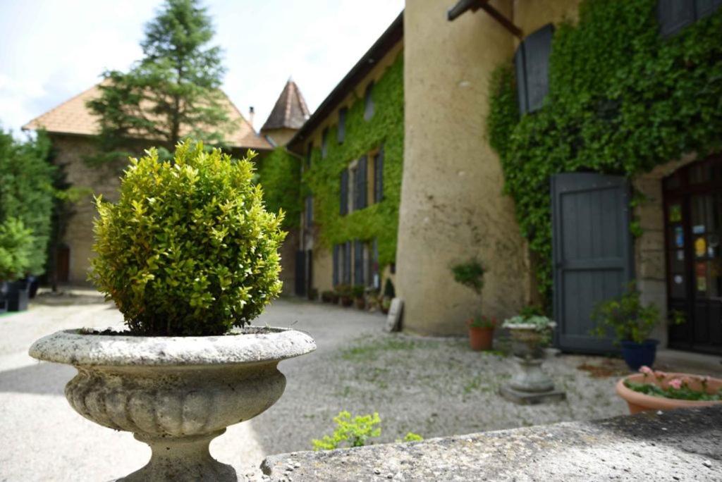 Chateau De Passieres Chichilianne Luaran gambar